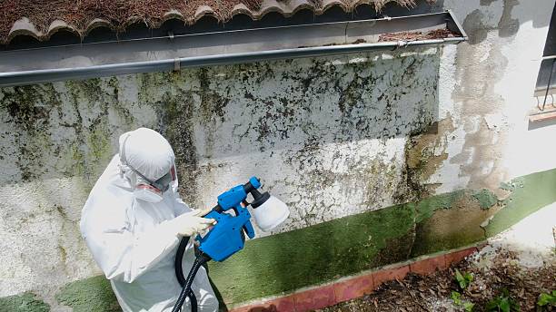 Trusted Commercial Mold Remediation service in LaFayette, GA - Cheap Mold Removal